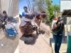 Secretaría de Salud intensifica prevención de la rickettsia en municipios de Sonora