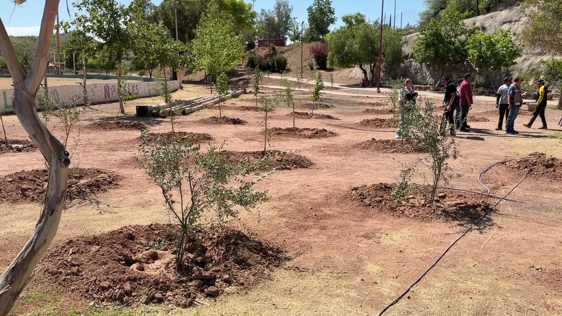 Avanza estrategia ambiental en Nogales; crean nuevas áreas verdes en Villa Sonora
