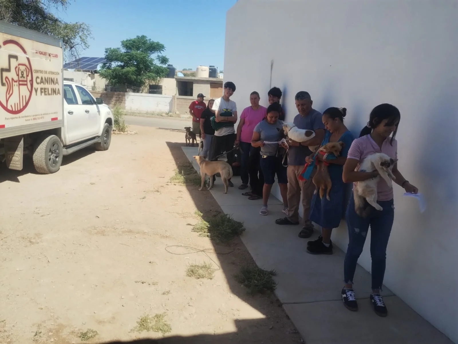 Esterilizan 17 mascotas en La Mesa y anuncian fumigación contra garrapatas en Romanza