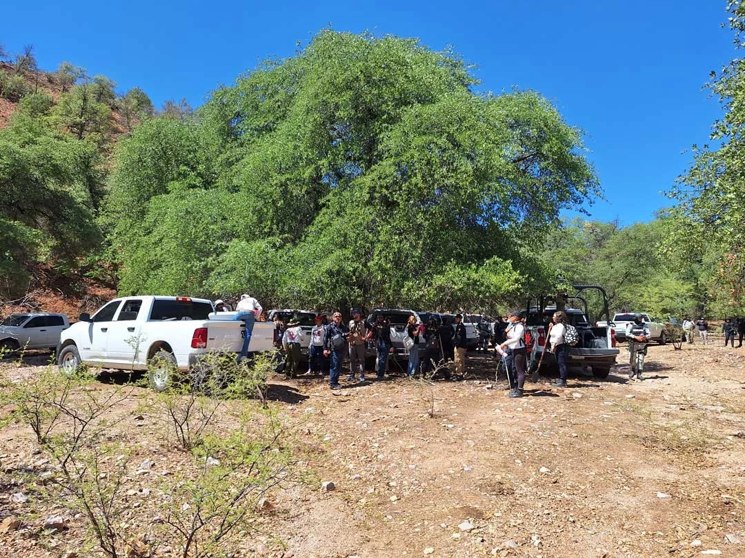 Refuerzan búsqueda de Nancy Guthrie con operativo binacional y apoyo ciudadano en Nogales
