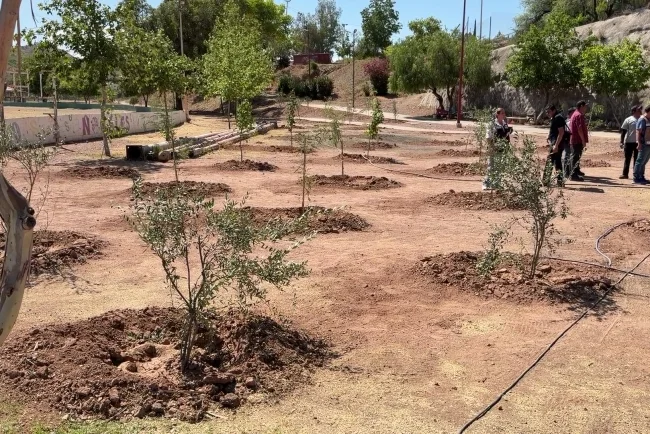 Avanza estrategia ambiental en Nogales; crean nuevas áreas verdes en Villa Sonora