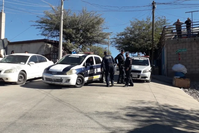 Dueña señala sospechas tras muerte de su mascota en Nogales
