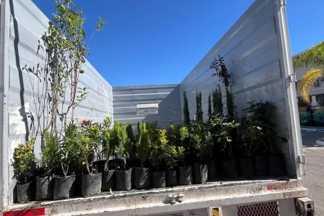 Invitan a ciudadanos a adoptar árboles y plantas durante jornada ecológica en Nogales
