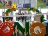 Sonora fortalece su conectividad con nueva ruta aérea AIFA-Hermosillo de Mexicana