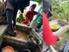 Piden reforzar limpieza de patios para combatir el dengue en Sonora