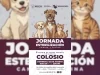 Realizarán jornada de esterilización canina y felina este domingo en Nogales