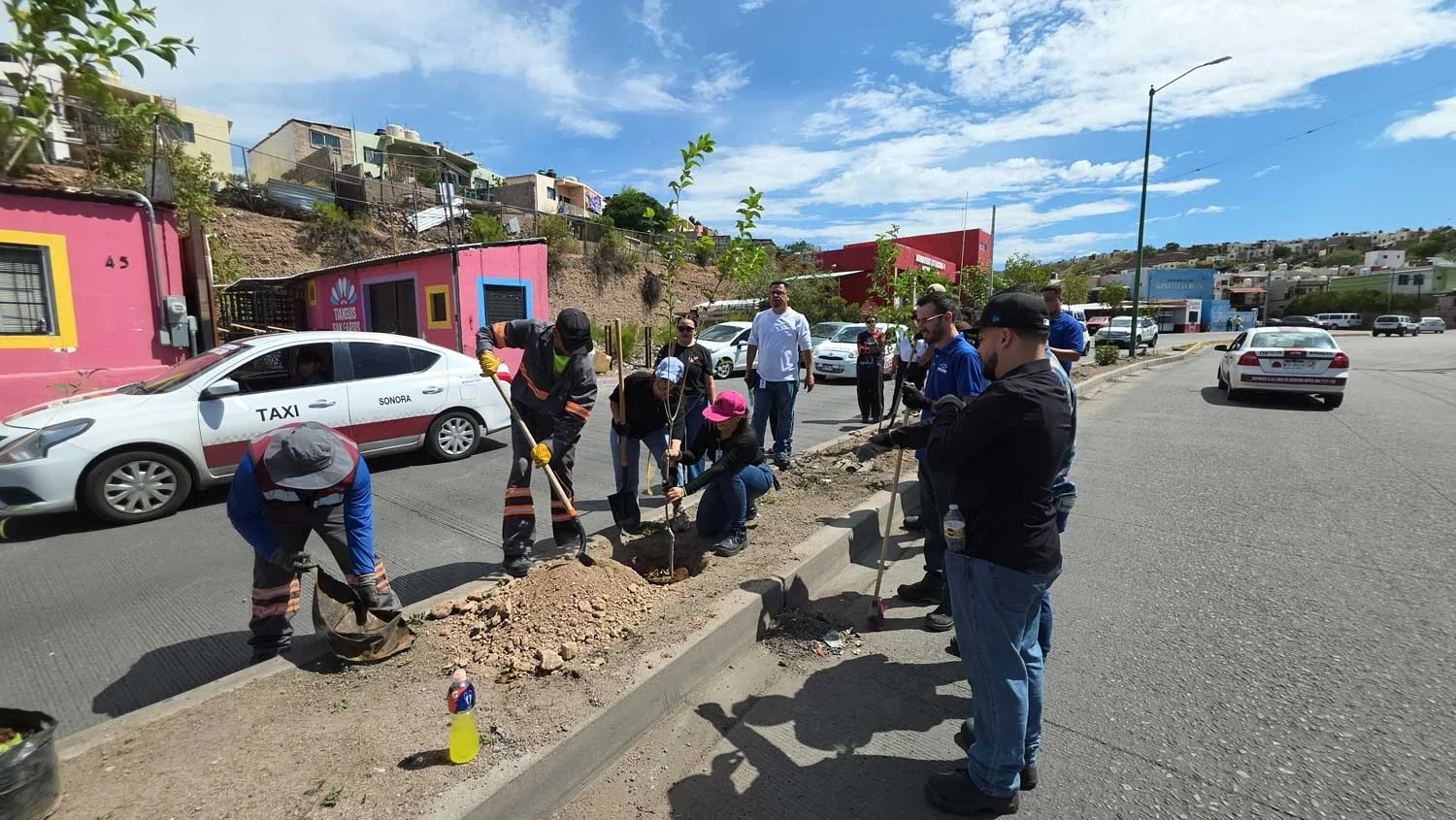 Impulsa empresa maquiladora rescate de áreas verdes en la colonia San Miguel
