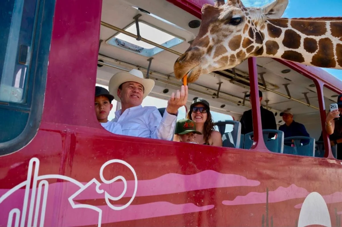 Refuerza Centro Ecológico de Sonora conservación de la fauna con nuevos nacimientos y rescates