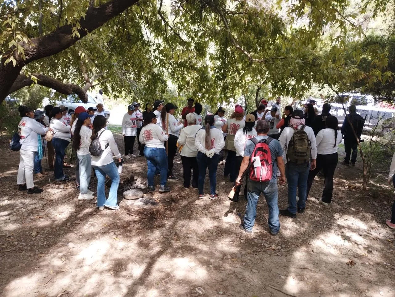 Sin hallazgos en primera jornada de búsqueda en Imuris; continuarán los rastreos