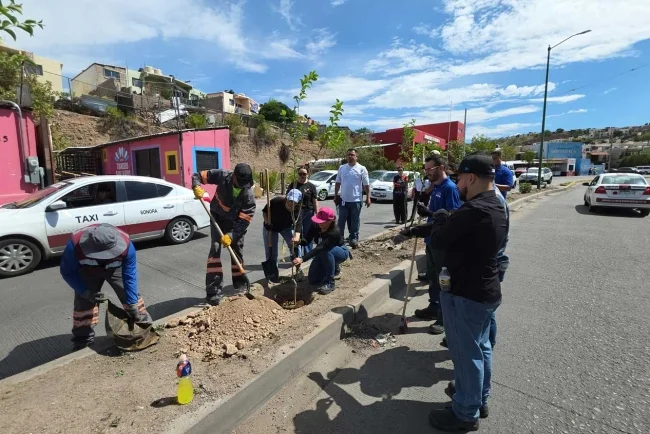 Impulsa empresa maquiladora rescate de áreas verdes en la colonia San Miguel