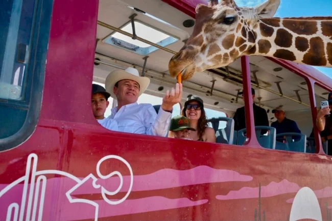 Refuerza Centro Ecológico de Sonora conservación de la fauna con nuevos nacimientos y rescates