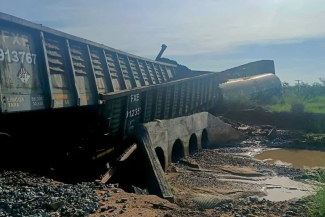 Profepa inspecciona zona del accidente ferroviario ocurrido en Naco