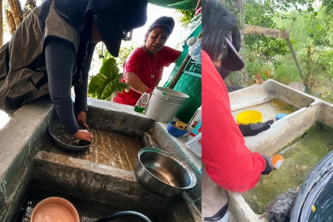 Piden reforzar limpieza de patios para combatir el dengue en Sonora