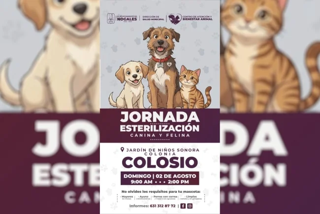 Realizarán jornada de esterilización canina y felina este domingo en Nogales
