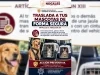 Seguridad Pública pide llevar mascotas aseguradas dentro de los vehículos