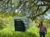 Refuerza Sonora frontera con mosca estéril ante amenaza del Gusano Barrenador