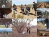 Desierto de Arizona cobra la vida de 73 migrantes en lo que va del año