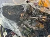 Decomisan en Nogales disfraces “terroríficos” con materiales de origen animal