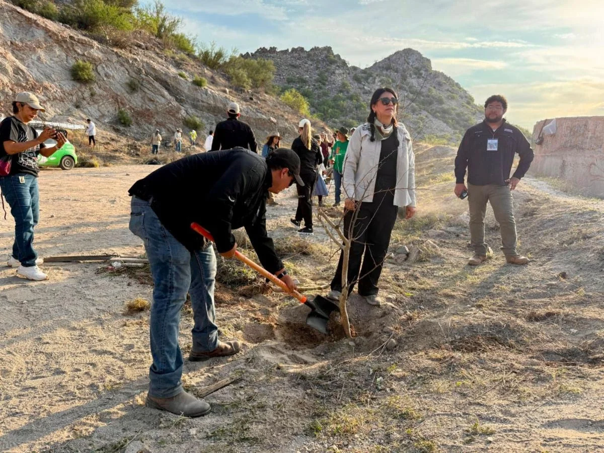 Reforestan Cerro de la Cementera y fortalecen acciones para conservar espacios naturales