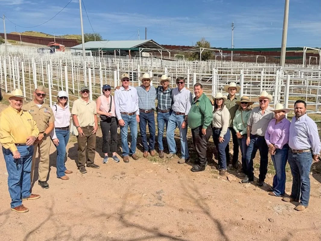 Buscan reactivar exportación de ganado por Nogales; UGRS se reúne con autoridades de USDA
