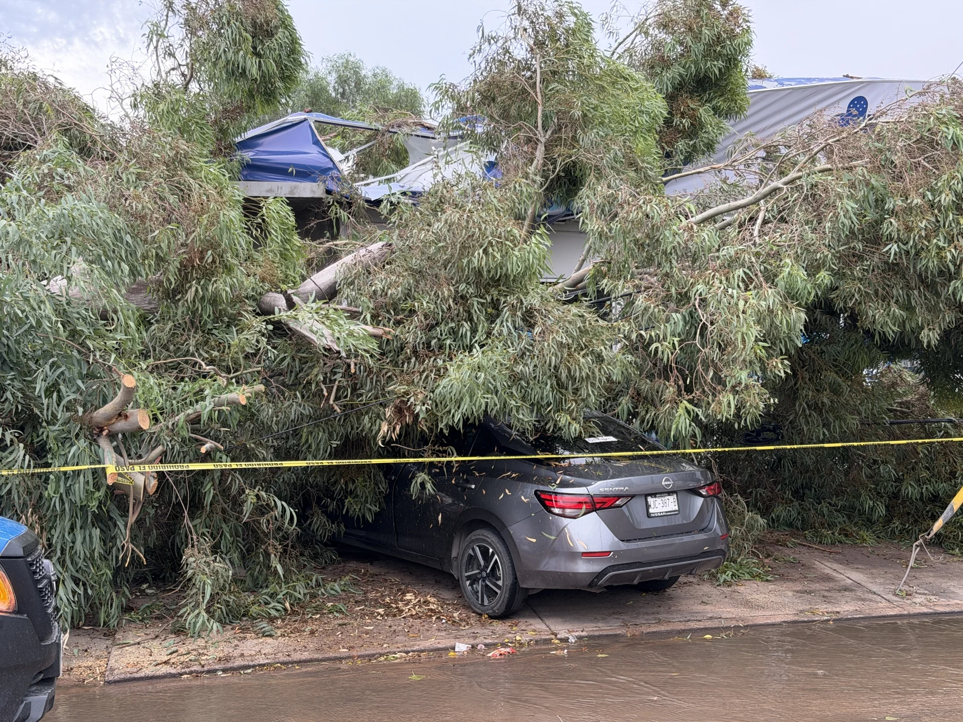 Advierten por lluvias intensas, tormentas e inundaciones repentinas este fin de semana