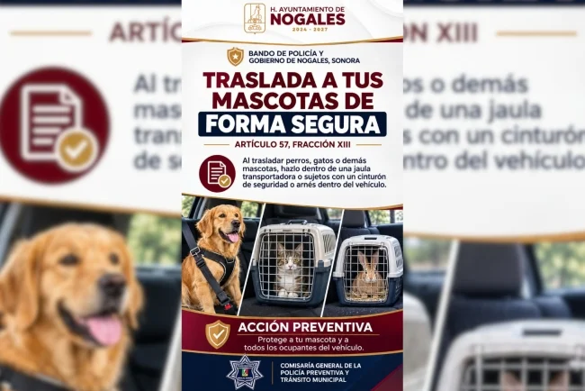 Seguridad Pública pide llevar mascotas aseguradas dentro de los vehículos