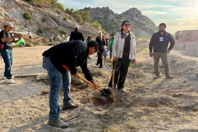 Reforestan Cerro de la Cementera y fortalecen acciones para conservar espacios naturales