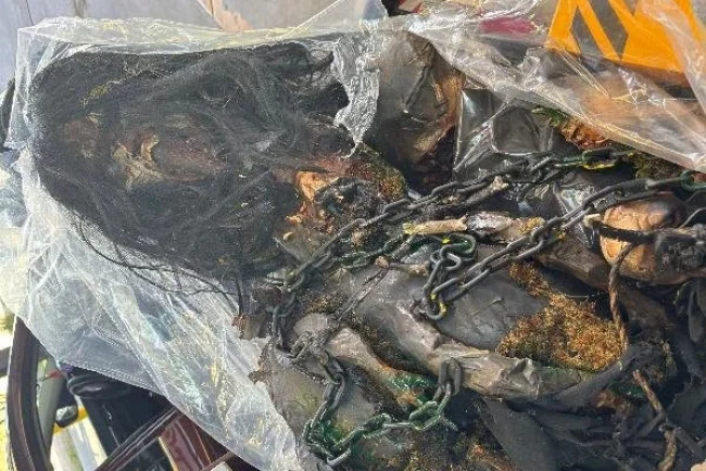 Decomisan en Nogales disfraces “terroríficos” con materiales de origen animal