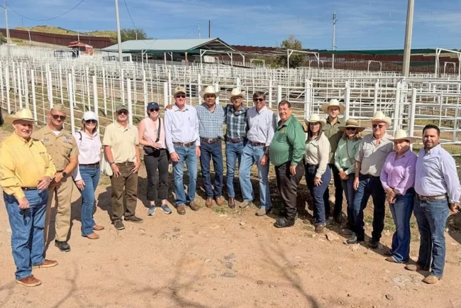 Buscan reactivar exportación de ganado por Nogales; UGRS se reúne con autoridades de USDA