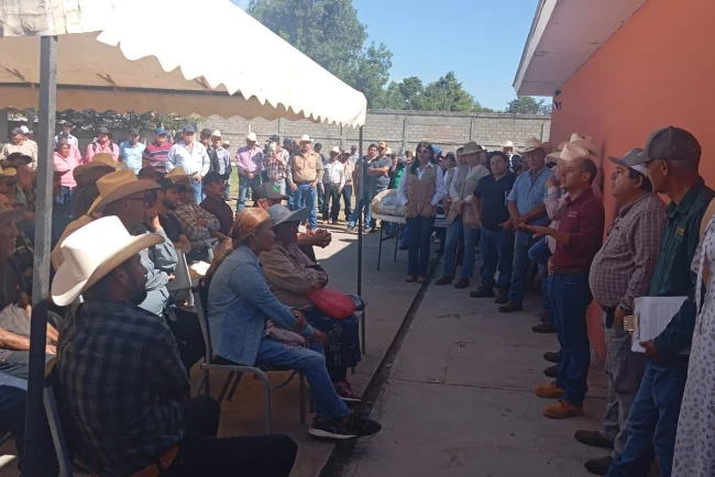 Liberarán 22 millones de moscas estériles para contener el gusano barrenador en Sonora