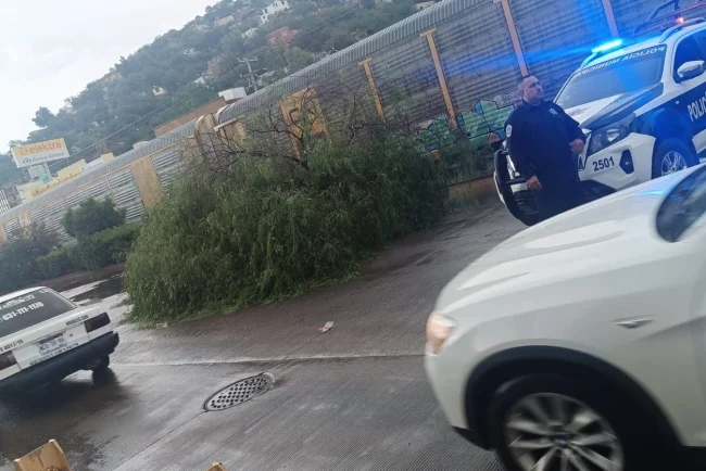 Tormenta provoca estragos en Nogales, pero sin personas lesionadas