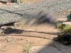 Investigan muerte de adulto mayor localizado en patios del ferrocarril de Nogales