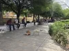 Compassion Home cumple cinco años de apoyar con alimentos a población vulnerable en Nogales