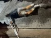 Investigan homicidio de joven atacado a balazos en Lomas de Anza