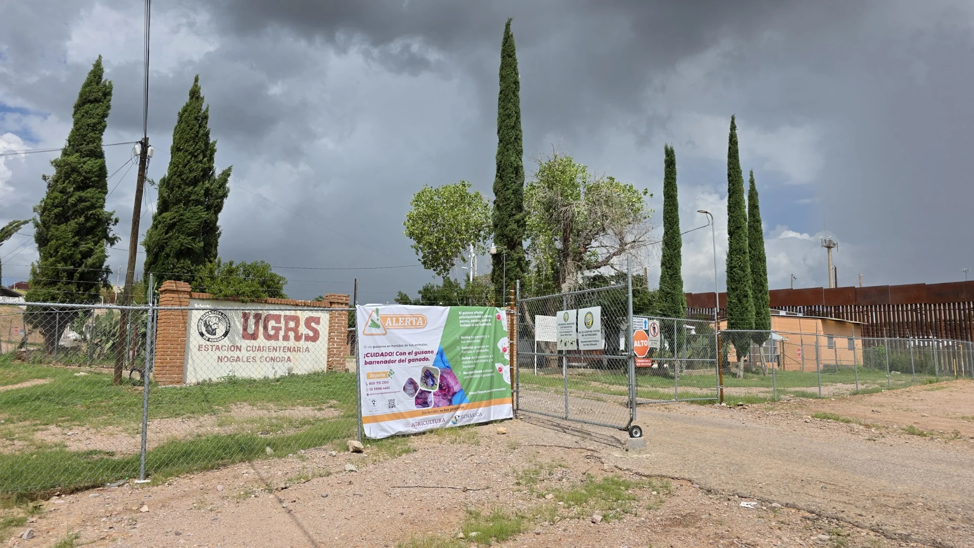 Suspenden exportación de ganado por Agua Prieta