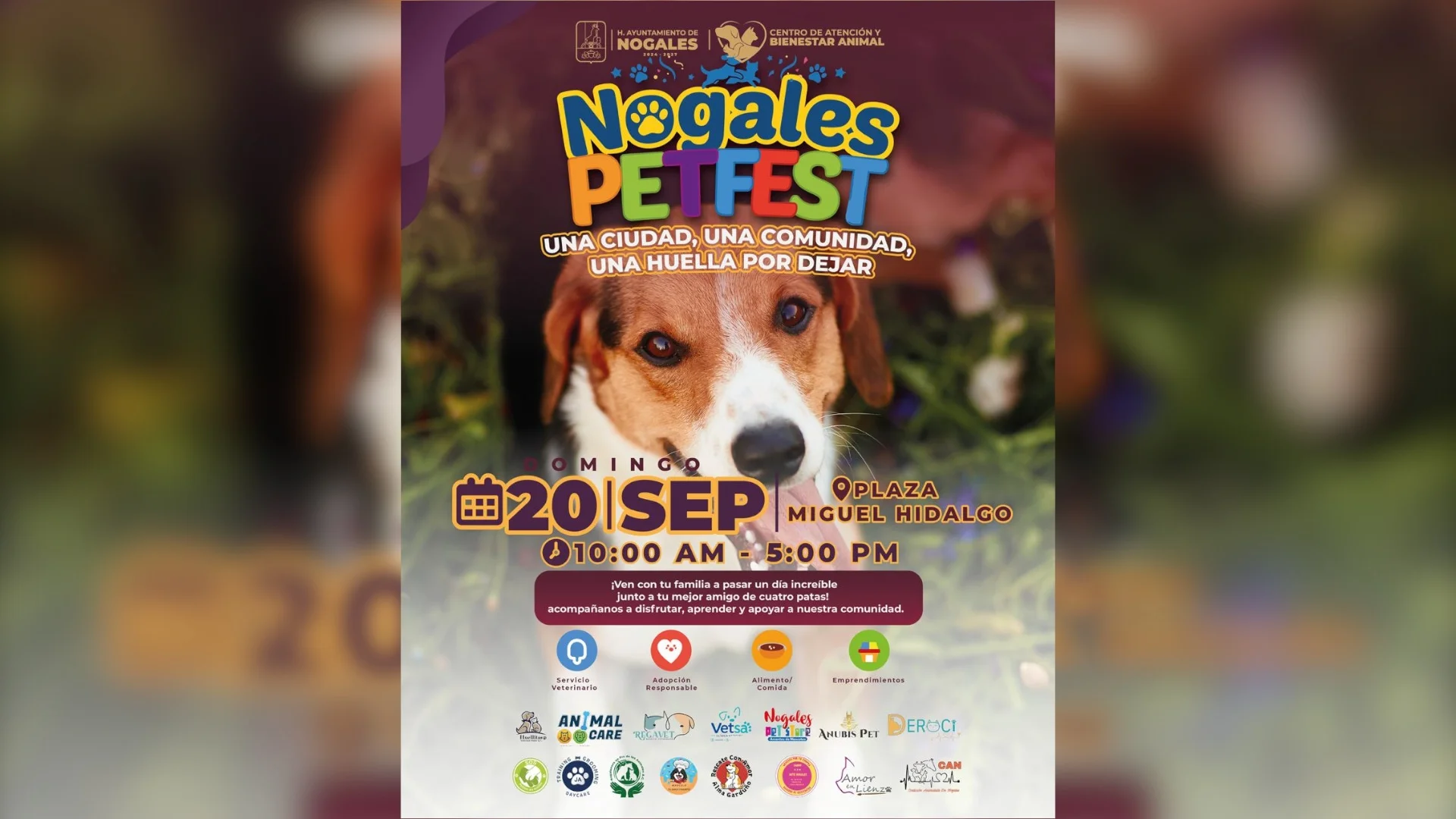 Pet Fest 2026 reunirá adopciones, servicios y actividades para mascotas en Nogales