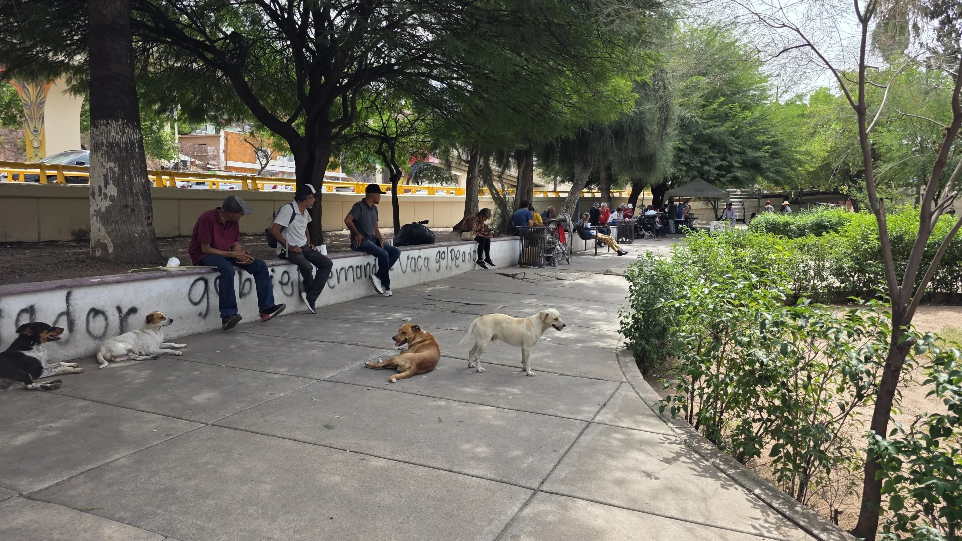 Compassion Home cumple cinco años de apoyar con alimentos a población vulnerable en Nogales