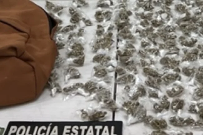 PESP y Sedena aseguran más de 350 envoltorios con narcóticos en Nogales