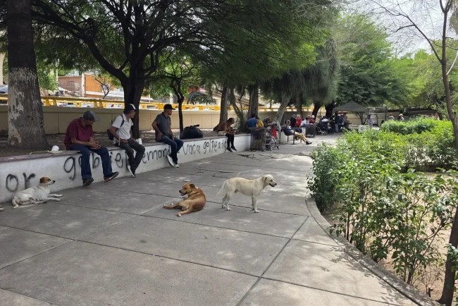 Compassion Home cumple cinco años de apoyar con alimentos a población vulnerable en Nogales