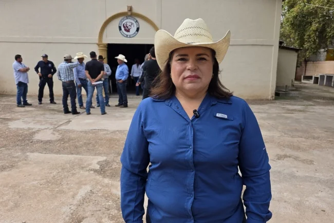 Avanza reapertura de estación cuarentenaria de Nogales para exportación de ganado