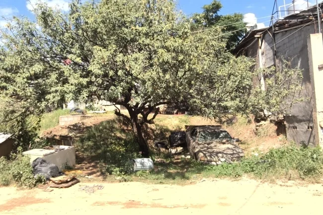 Restos de un hombre son localizados tras reporte de una vivienda en la colonia Colosio