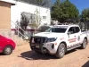 Fiscalía determinará el destino de 20 perros localizados en abandono en Nogales