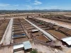 Sonora proyecta exportar hasta 3 mil cabezas de ganado diarias con nueva infraestructura