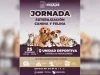 Realizarán jornada de esterilización y vacunación antirrábica este domingo