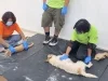 Suman esfuerzos autoridades y asociaciones para esterilizar a 100 mascotas en Nogales
