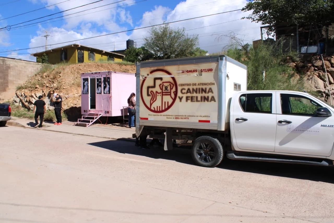 CABA esteriliza a 26 perros y gatos durante jornada en Rosarito 2