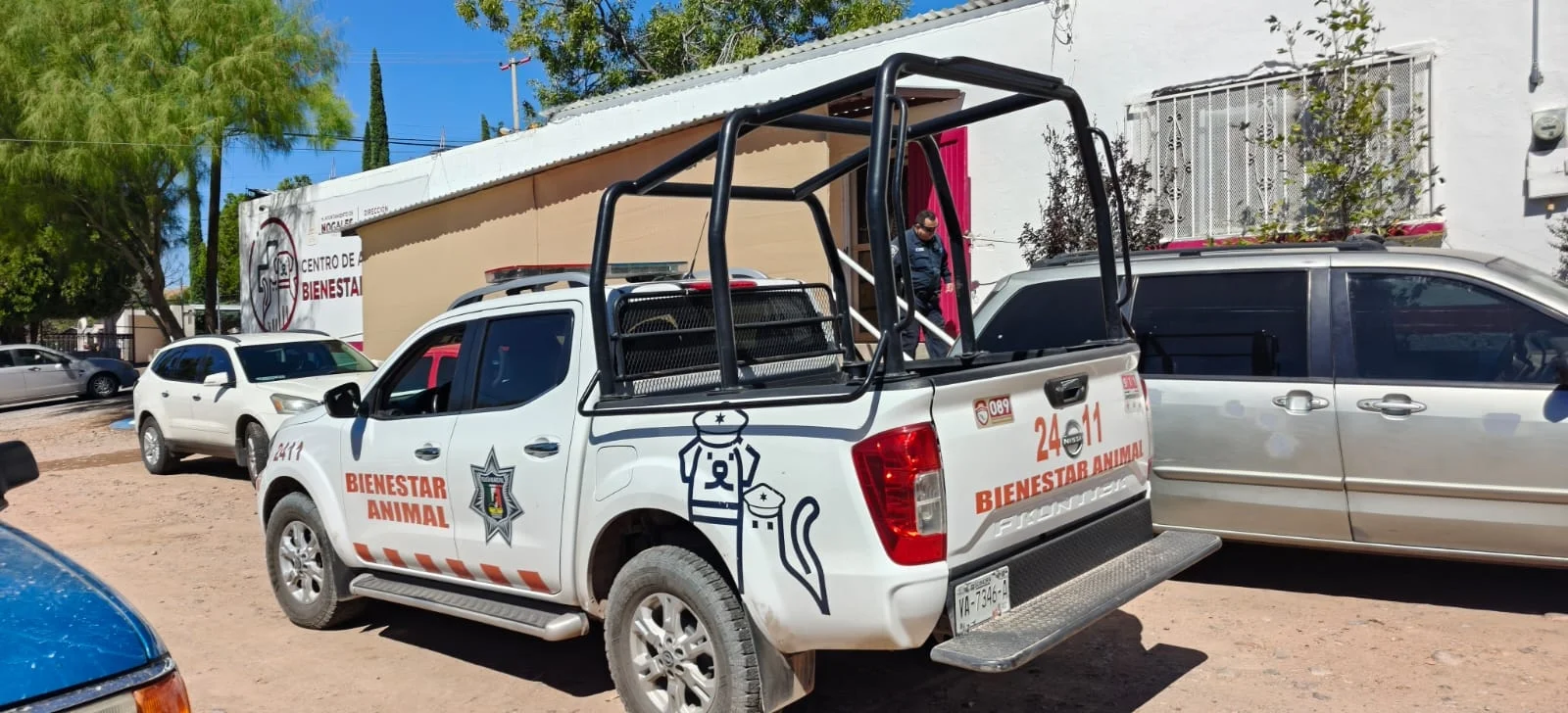 Perro con tres reportes previos de agresión ataca a niño de 3 años en Nogales
