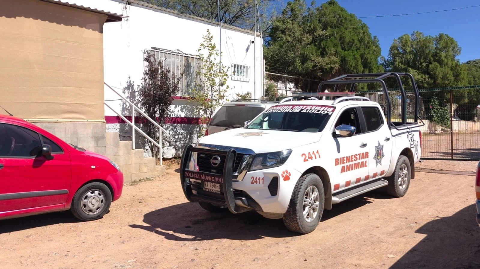 Fiscalía determinará el destino de 20 perros localizados en abandono en Nogales
