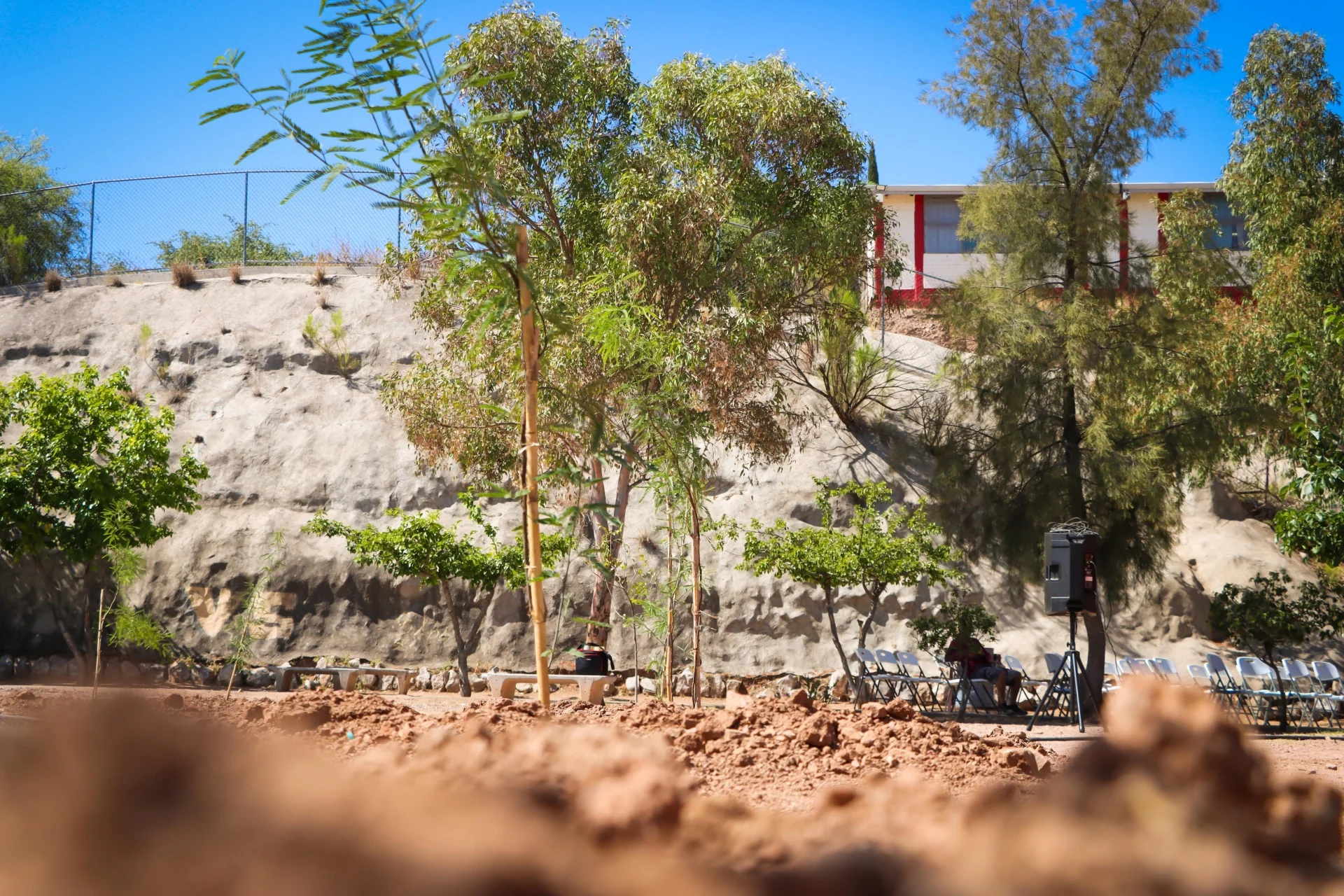 Sobreviven 80% de los árboles sembrados en programa de Bosques Urbanos de Nogales