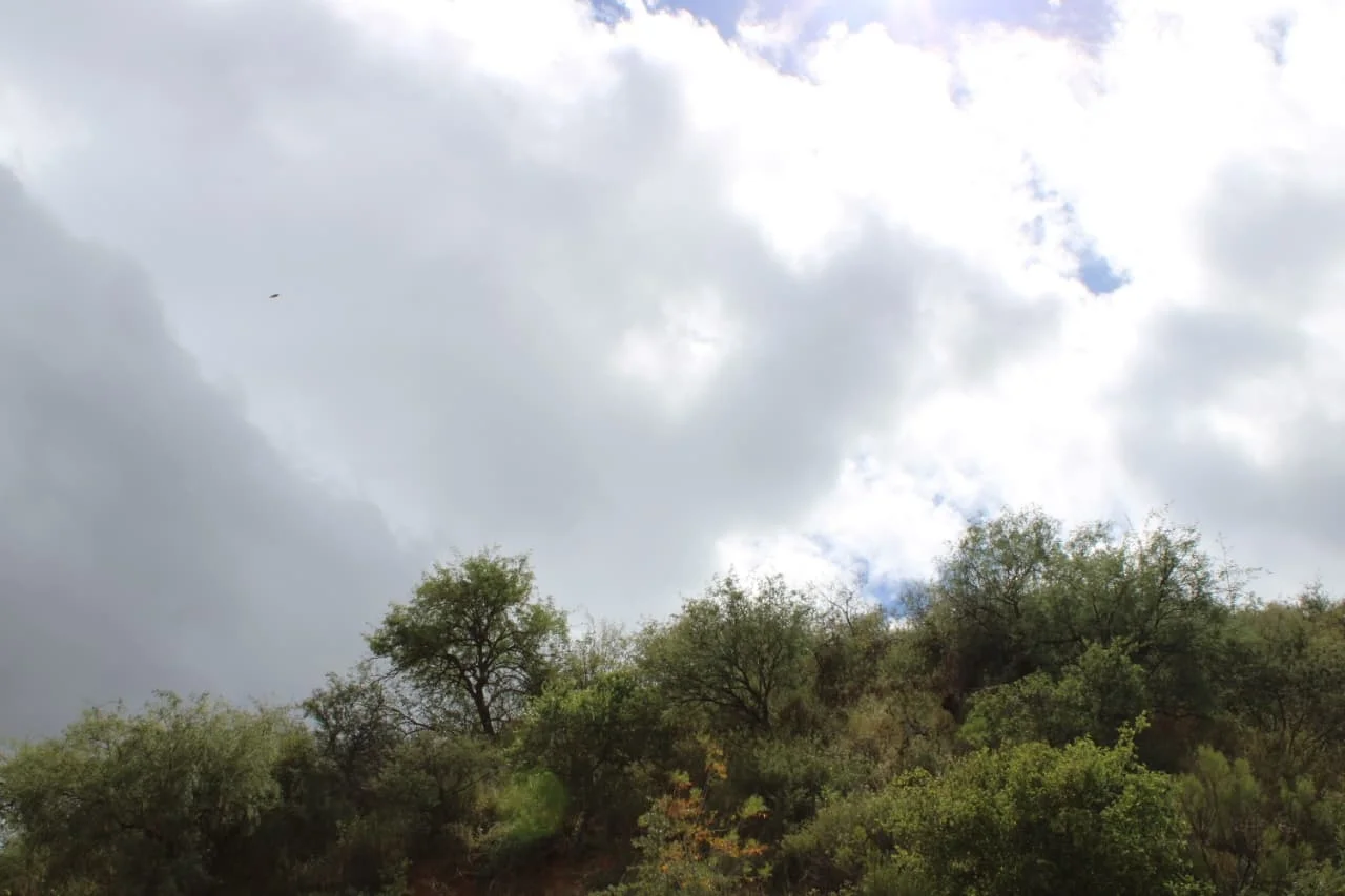 Exhorta Protección Civil a extremar precauciones ante frío y lluvias en Nogales